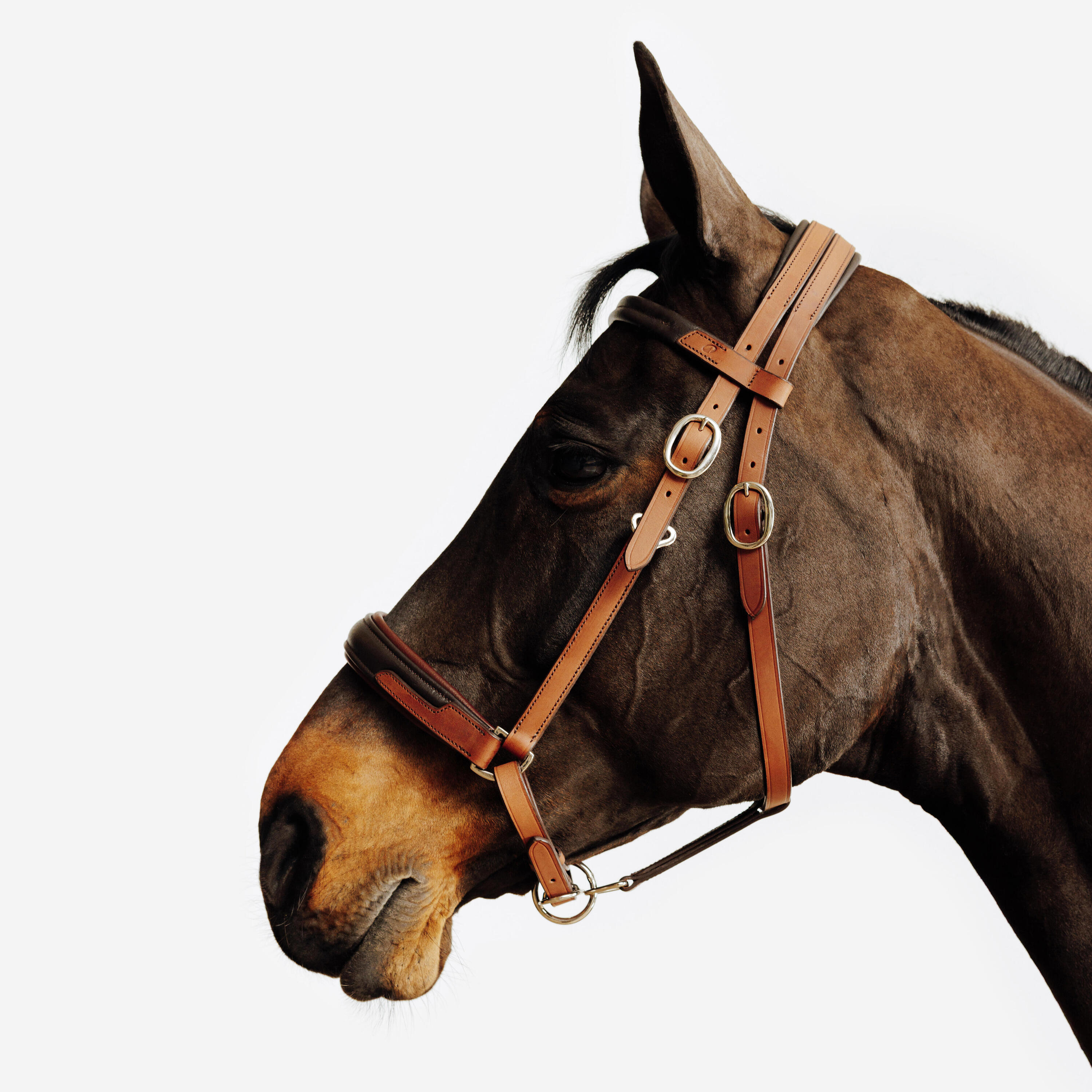 Trense/Halfter Escape Wanderreiten  6/9