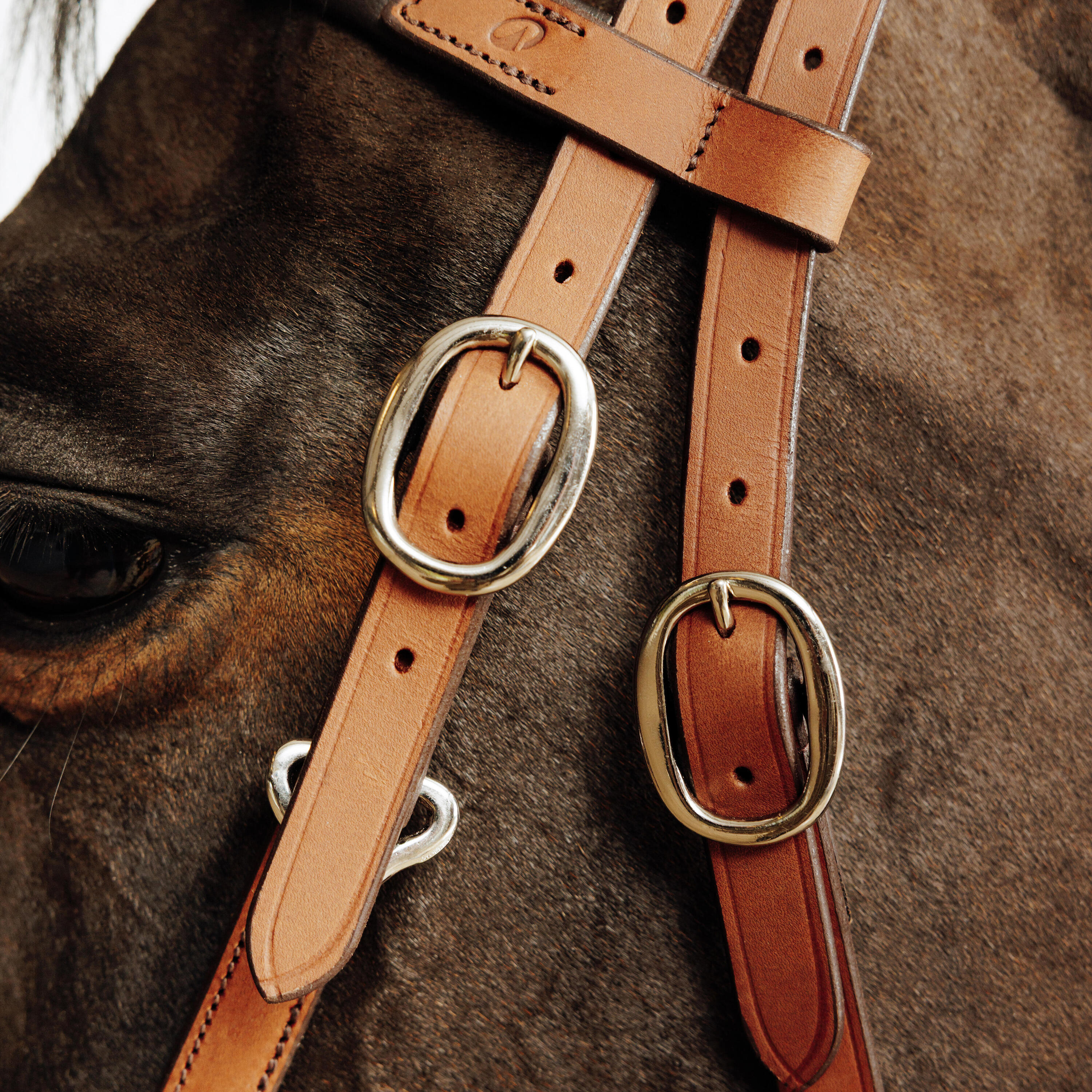Trense/Halfter Escape Wanderreiten  2/9
