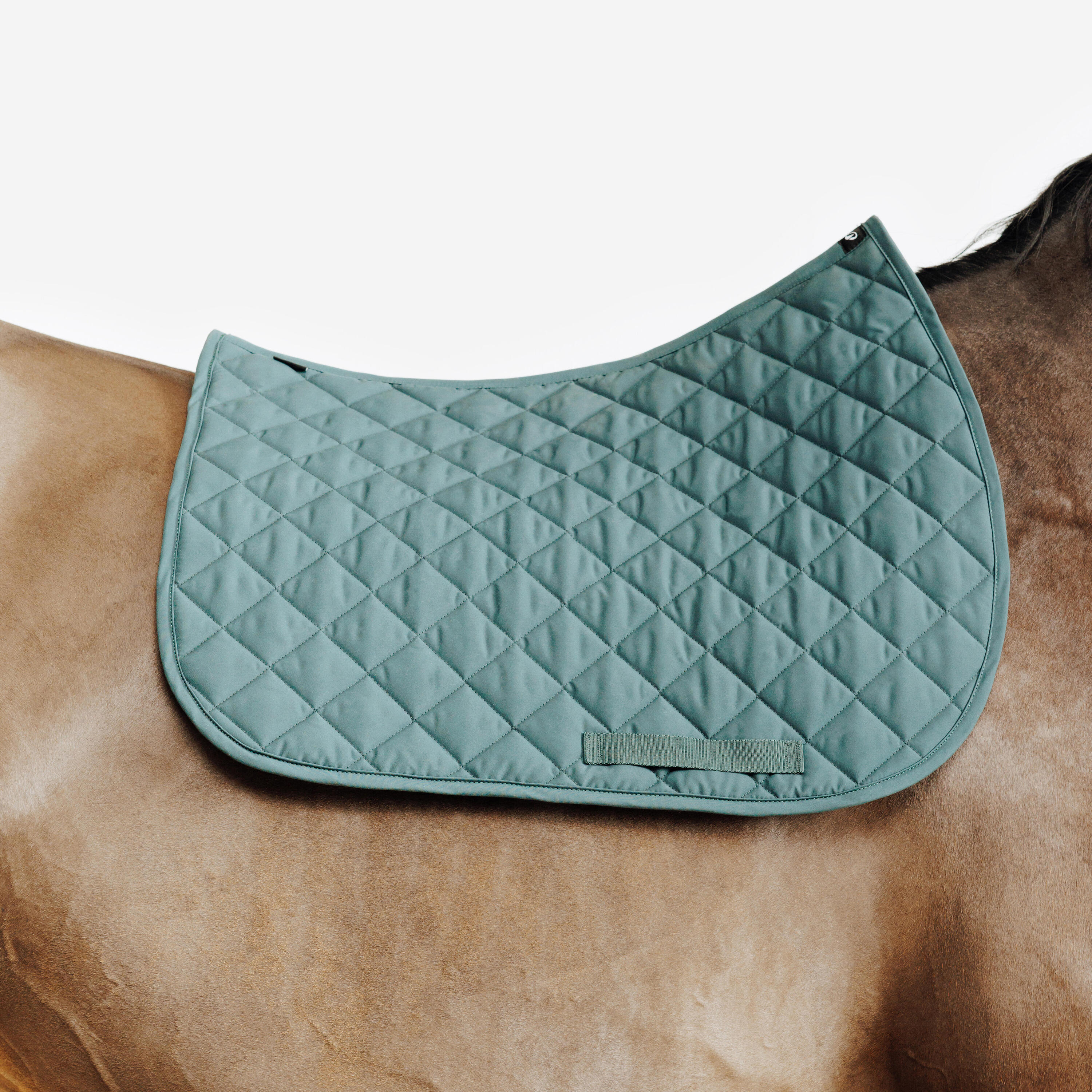 Tapis de selle équitation cheval et poney - 100 vert 2/3