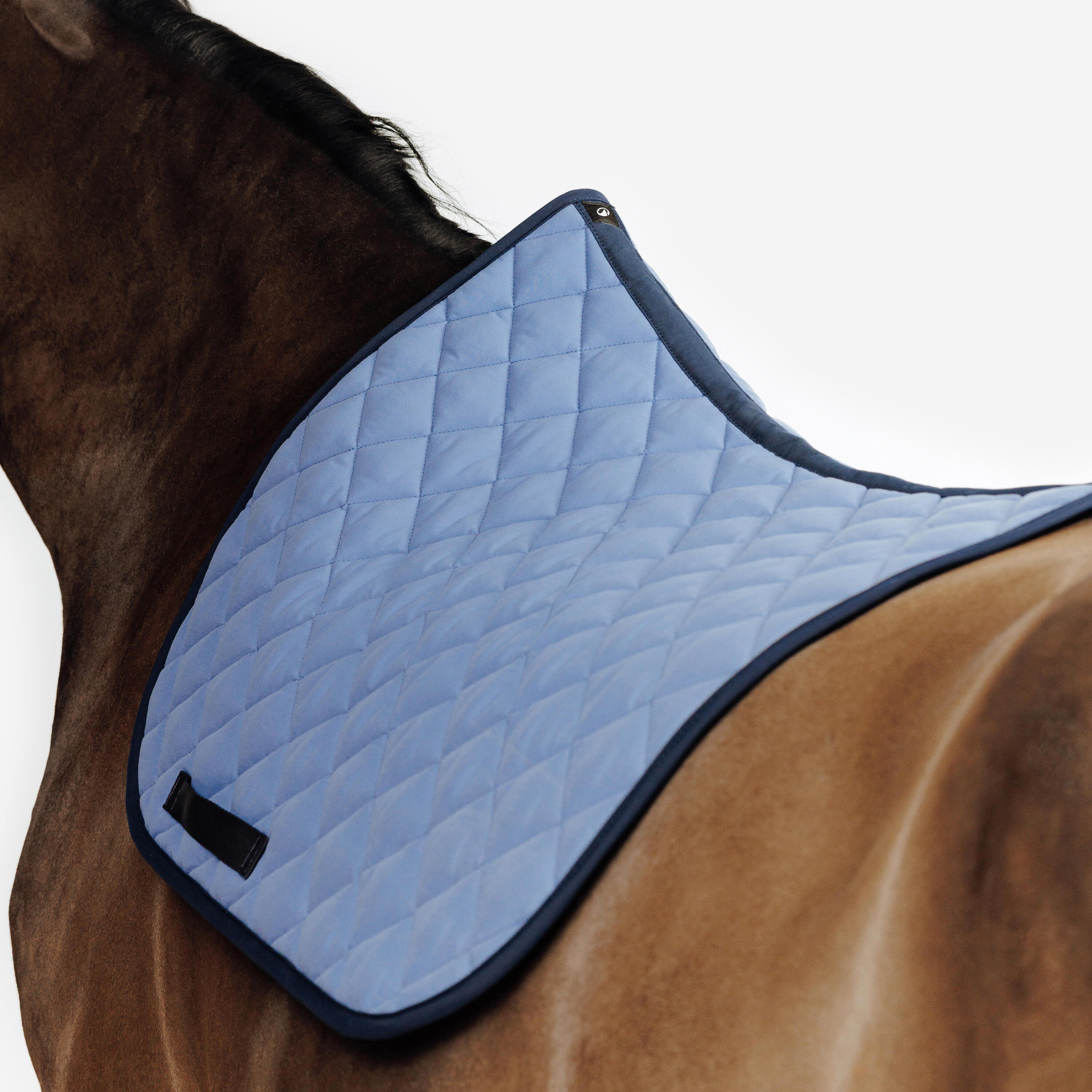 Tapis de selle équitation cheval et poney - 100 comète 3/3