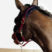 Horse Riding Halter + Leadrope Kit for Horse & Pony Comfort - Burgundy/Blue/Black