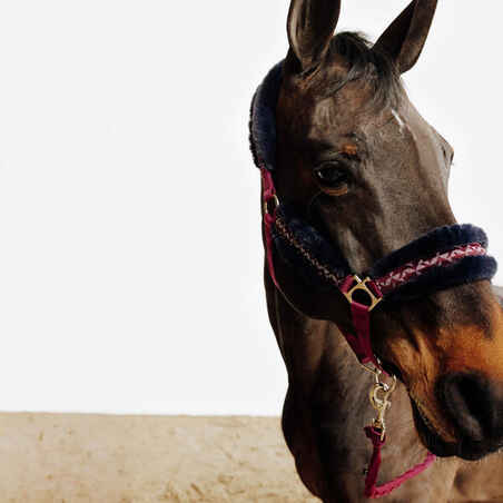 Horse Riding Halter + Leadrope Kit for Horse & Pony Comfort - Burgundy/Blue/Black