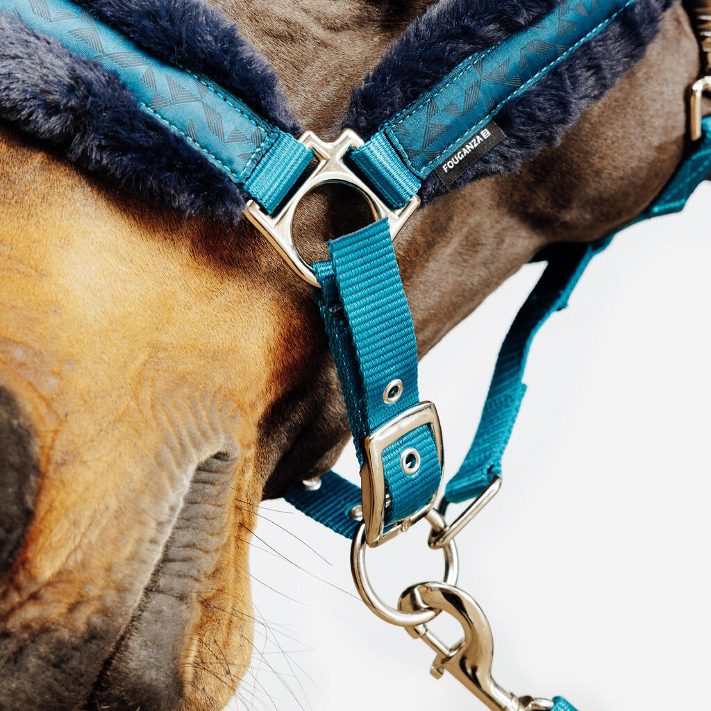 Kit licol et longe équitation cheval et poney - confort Bleu canard