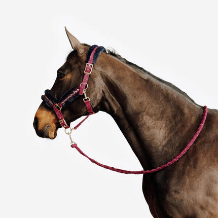 Kit licol et longe équitation Cheval et Poney - Confort bourgogne et bleu noir