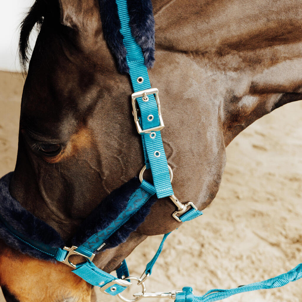 Kit licol et longe équitation cheval et poney - confort Bleu canard
