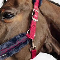 Horse Riding Halter + Leadrope Kit for Horse & Pony Comfort - Pink/Blue/Black