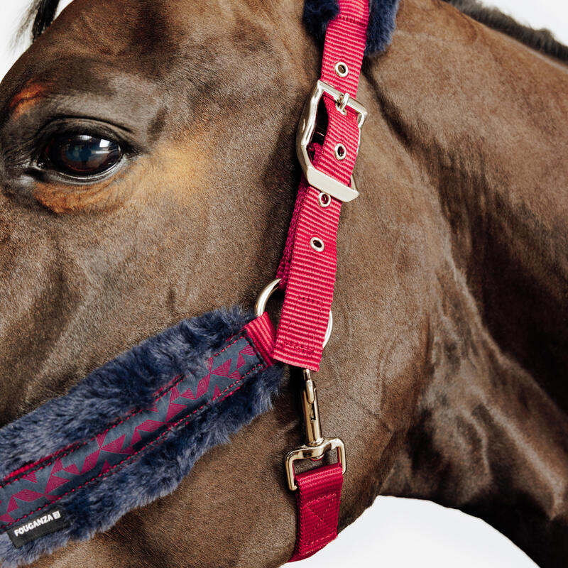 Set halster + halstertouw voor paarden en pony's Comfort roze/zwartblauw