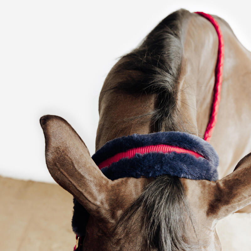 Set halster + halstertouw voor paarden en pony's Comfort roze/zwartblauw