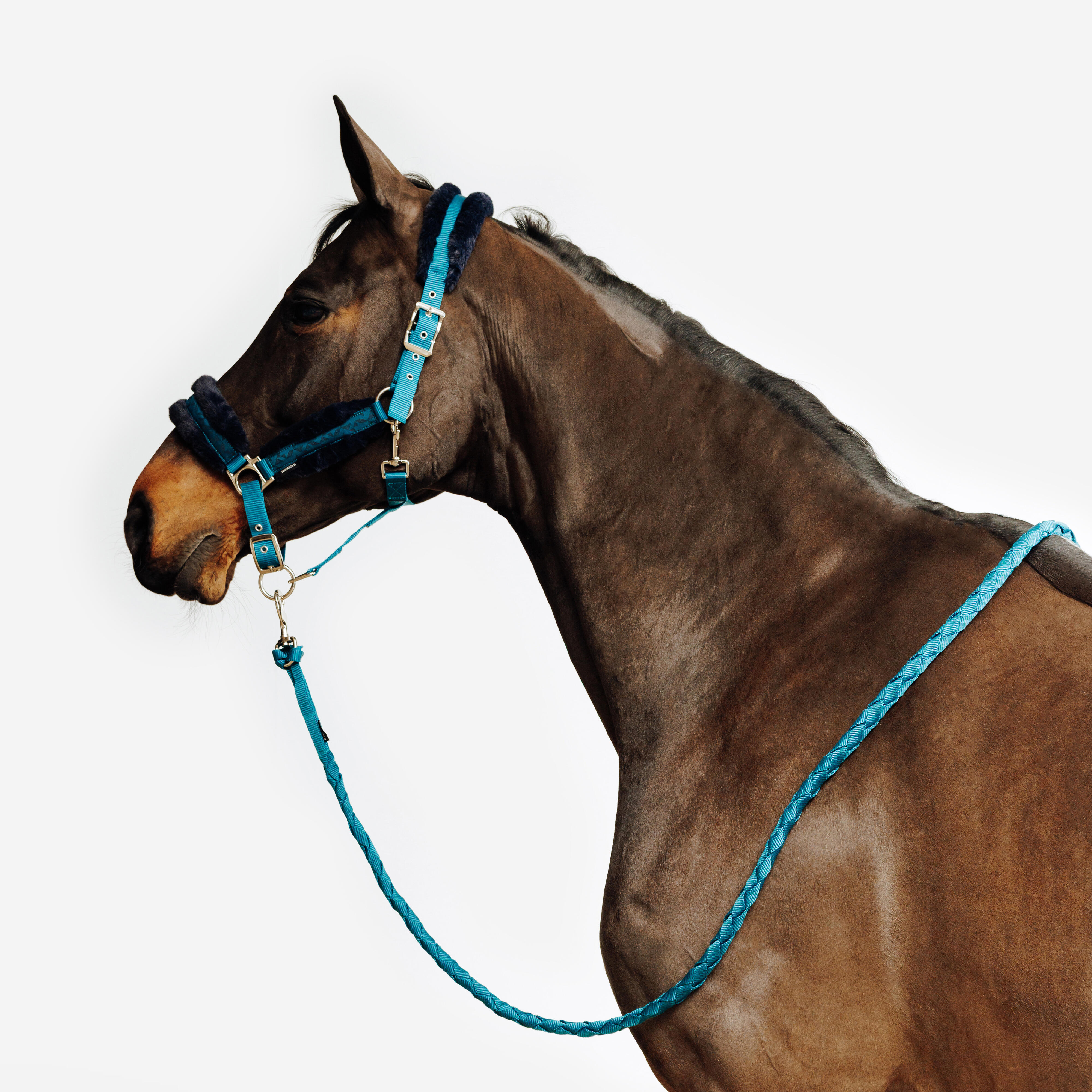 Sangle d'attache - Licols & longes western
