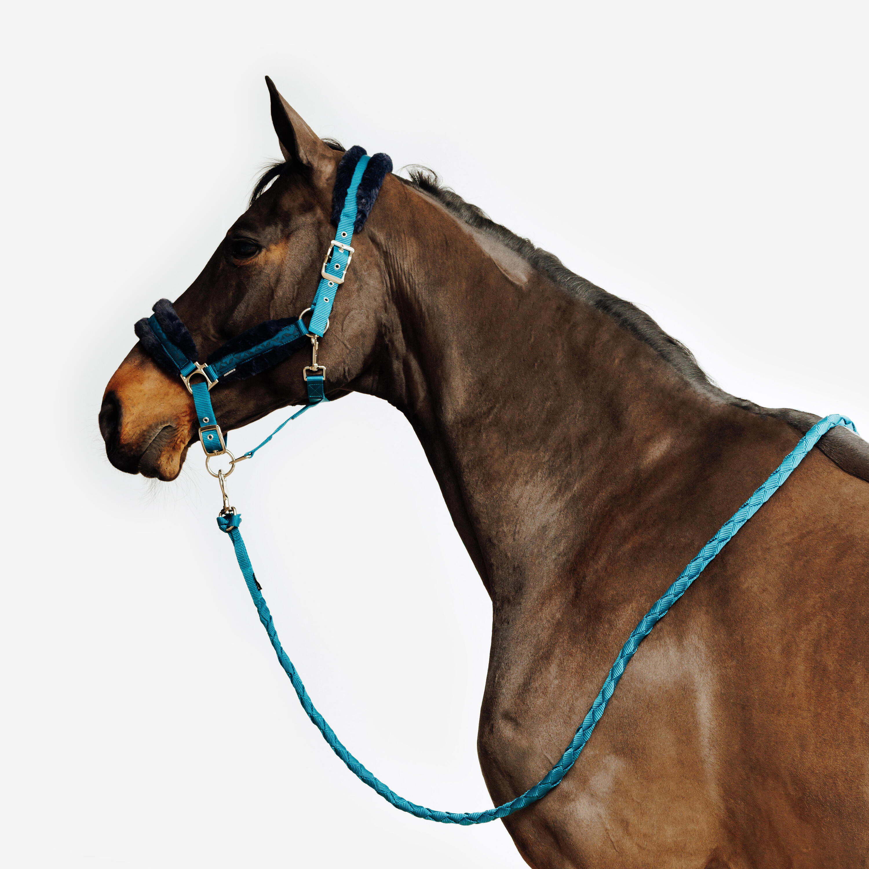FOUGANZA Horse Riding Halter and Leadrope Set for Horse and Pony Comfort - Duck Blue