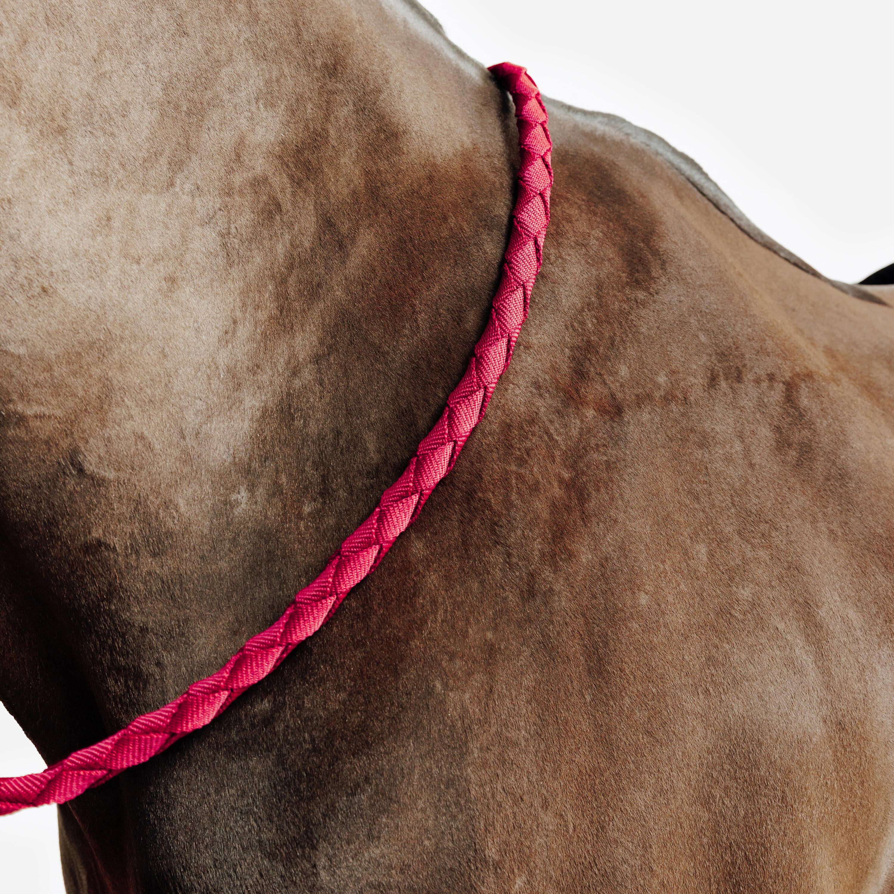 Kit capezza e longhina equitazione pony e cavallo CONFORT rosa-blu 2/5