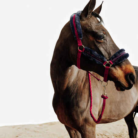 Horse Riding Halter + Leadrope Kit for Horse & Pony Comfort - Pink/Blue/Black