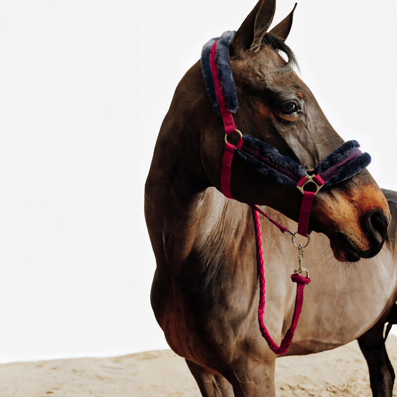 Set halster + halstertouw voor paarden en pony's Comfort roze/zwartblauw