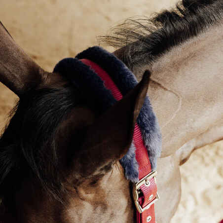 Horse Riding Halter + Leadrope Kit for Horse & Pony Comfort - Burgundy/Blue/Black