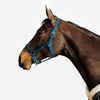 Horse Riding Schooling Halter for Horse and Pony - Teal