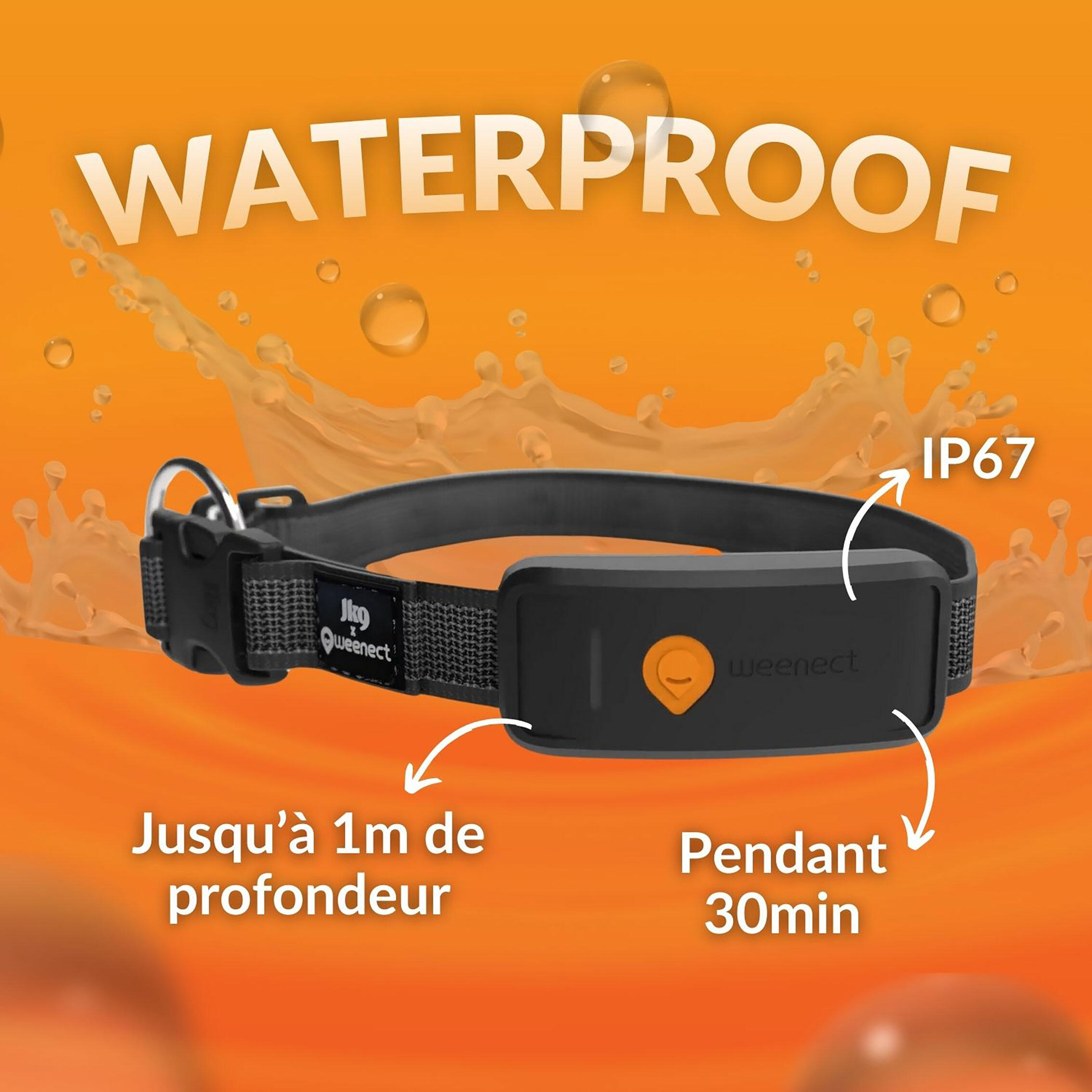Hondenhalsband met gps XT 8/10