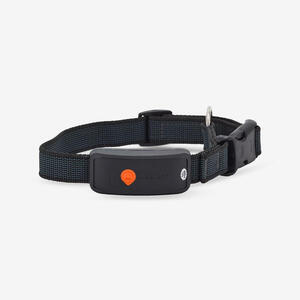 Collar Perro Weenect XT GPS