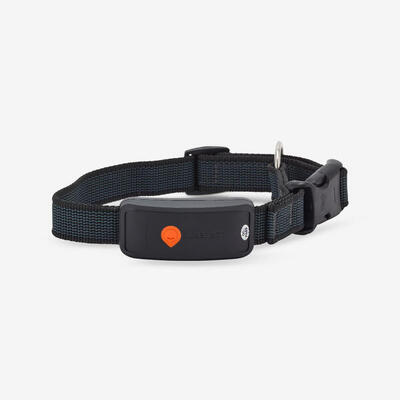 GPS-Halsband Hund Weenect XT