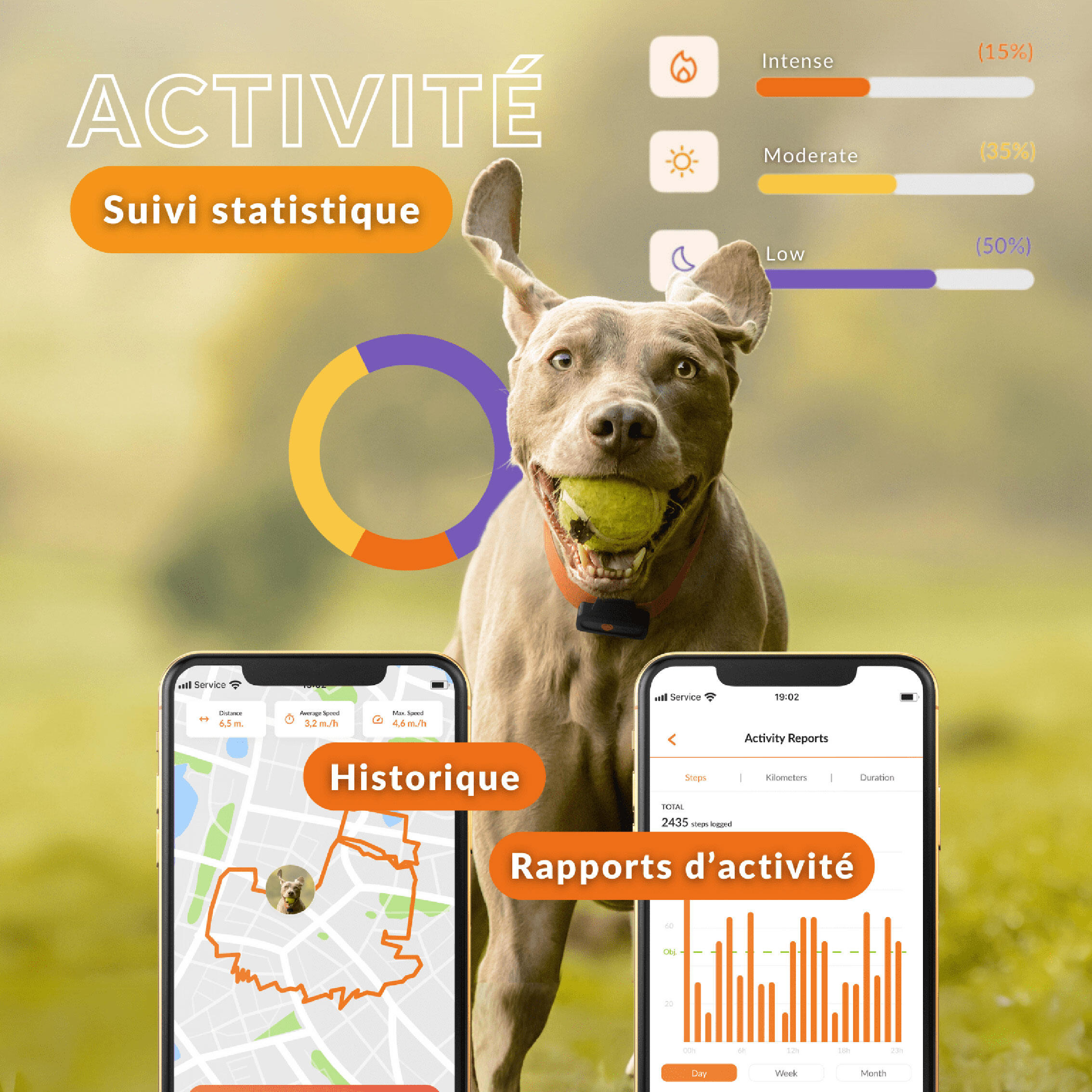 Collier traceur gps pour chien weenect v2 15/24