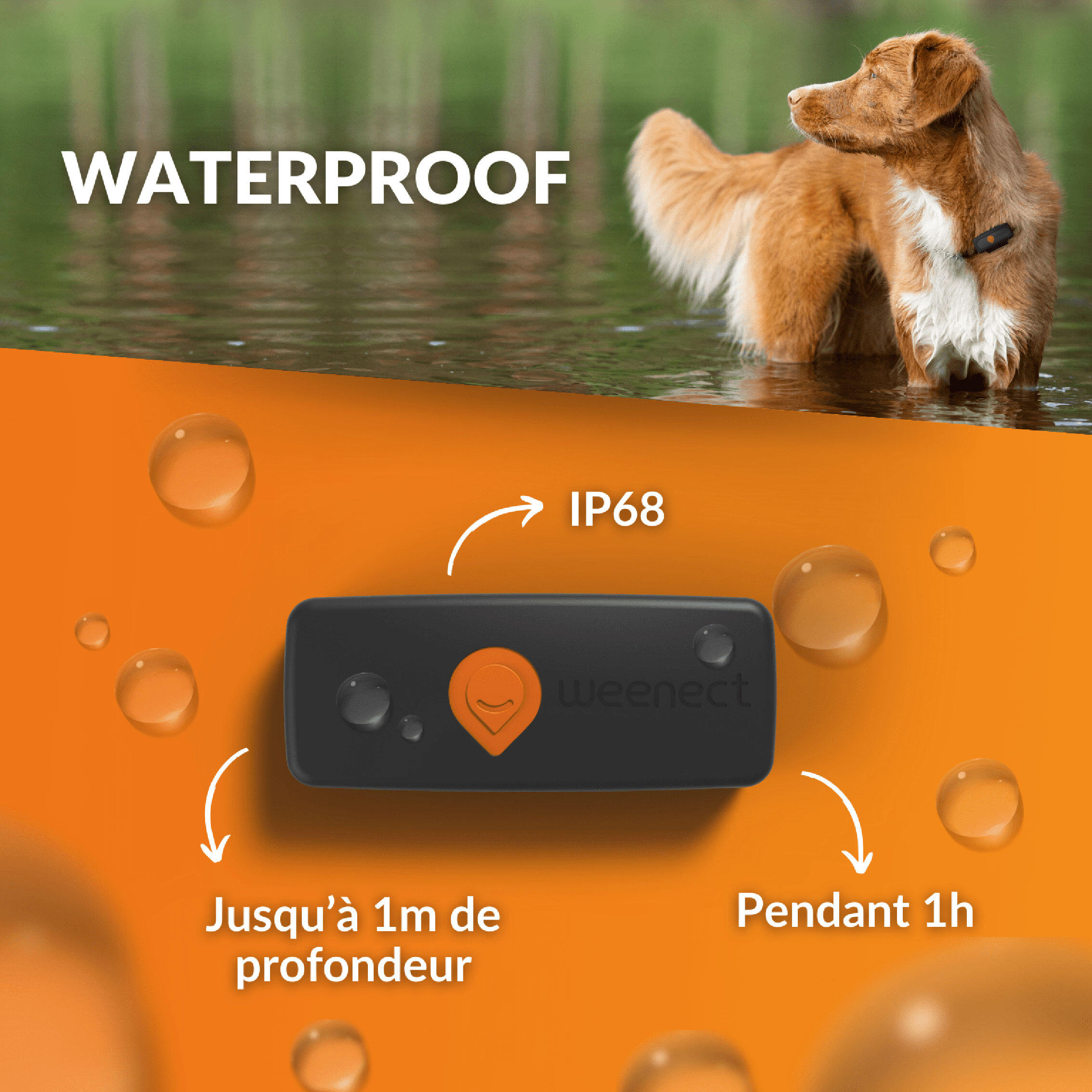 Collier traceur gps pour chien weenect v2 10/24