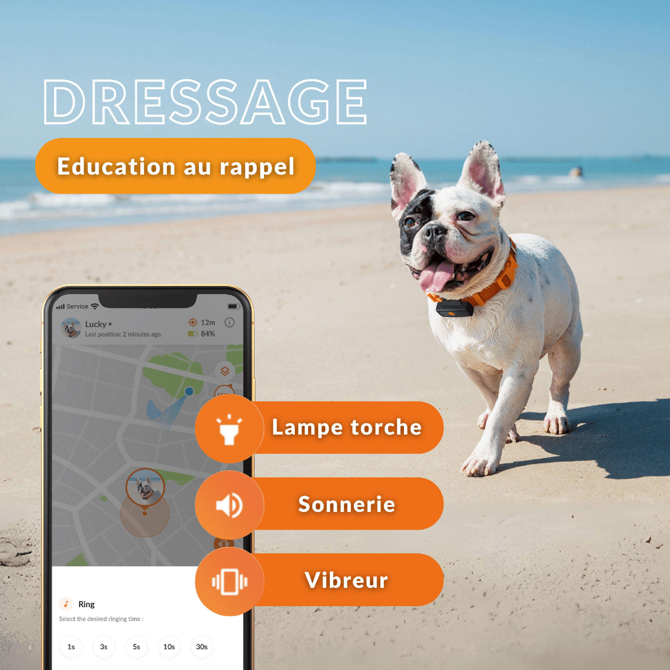 Collier traceur gps pour chien weenect v2 12/24