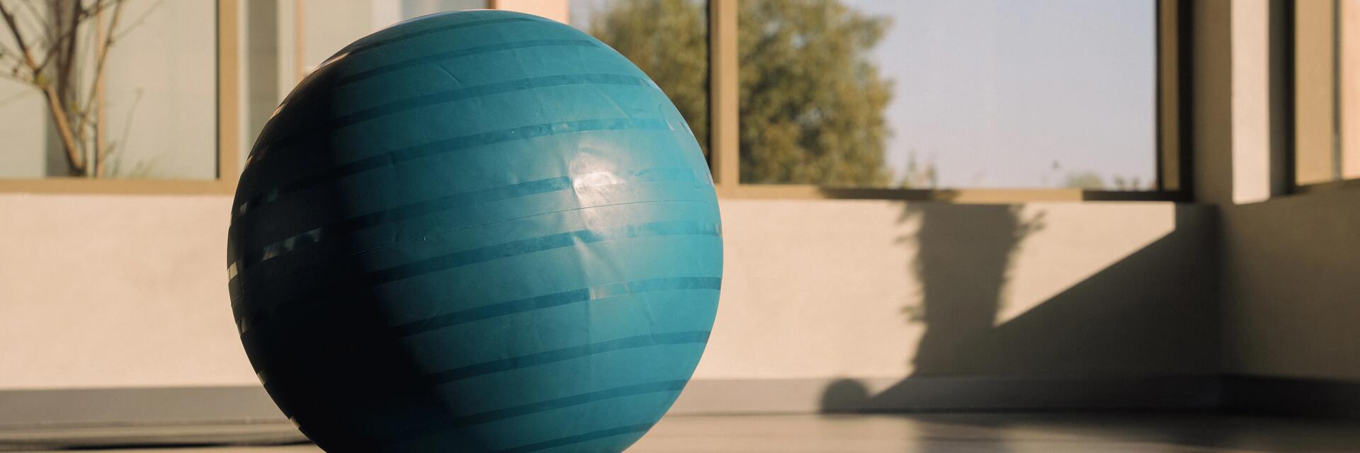 cc-choisir-swiss-ball-cover