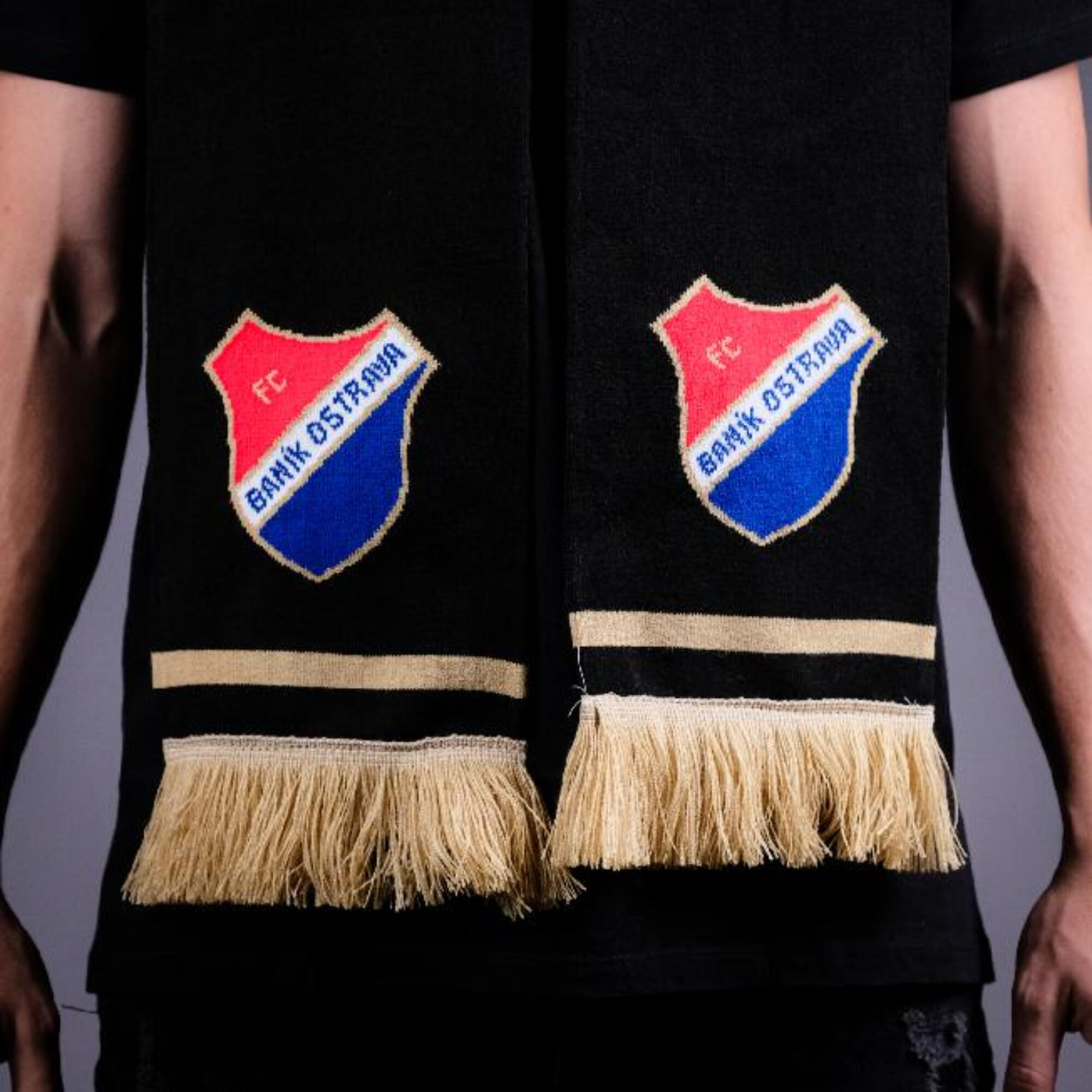 FC BANIK OSTRAVA picture