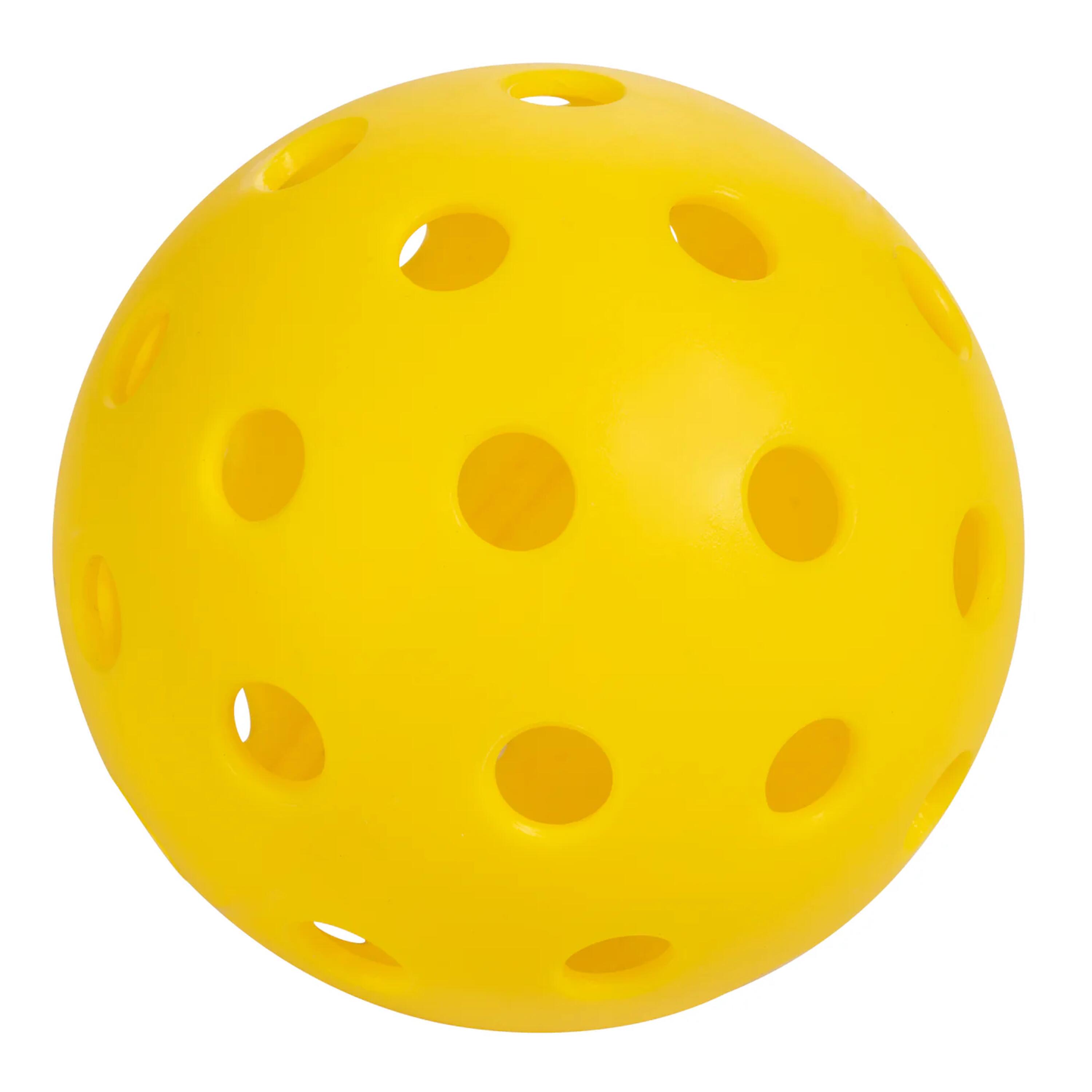 Ensemble de pickleball Recruit Composite 2/6