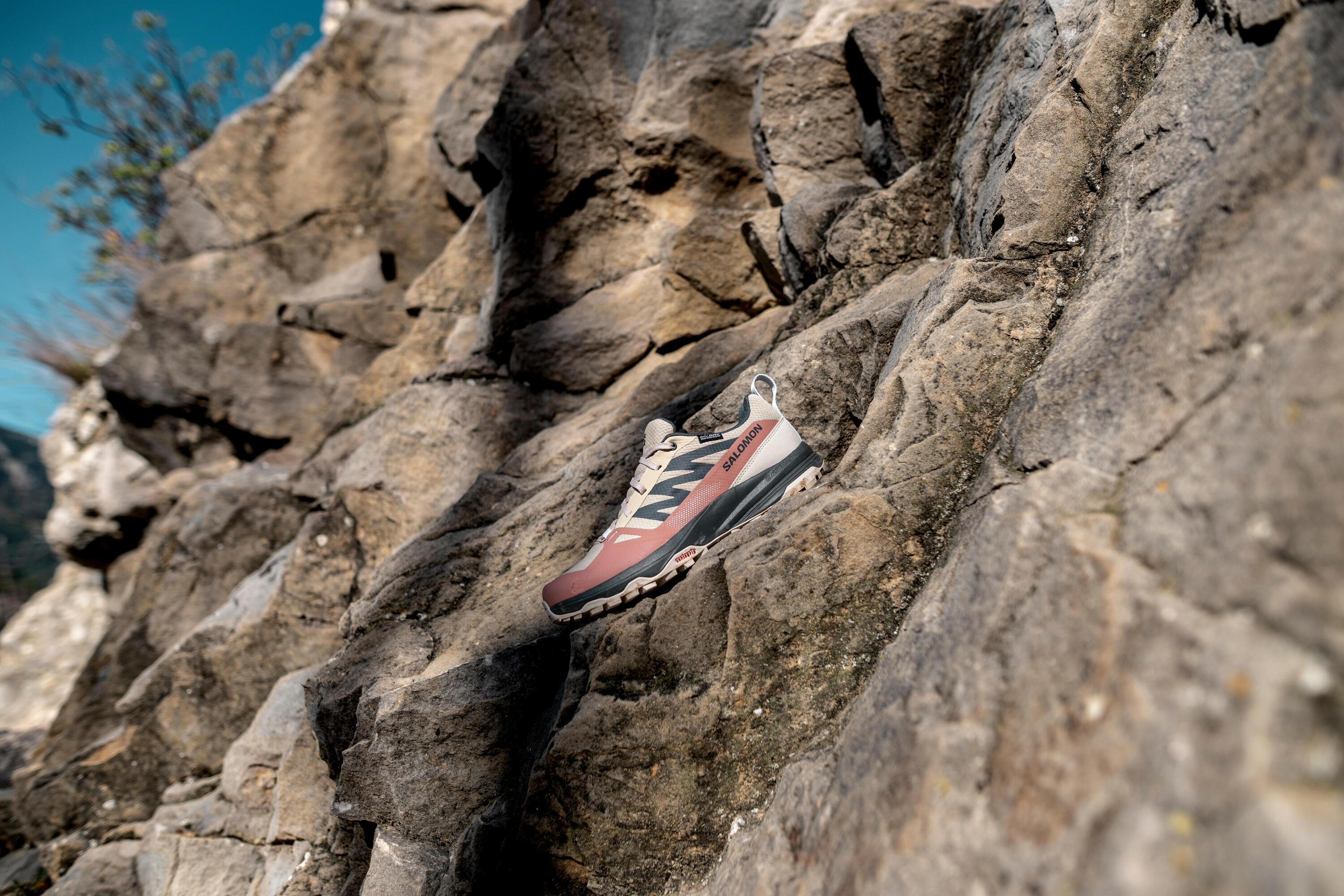 Chaussures de randonnée montagne femme, Salomon Saliba 10/12