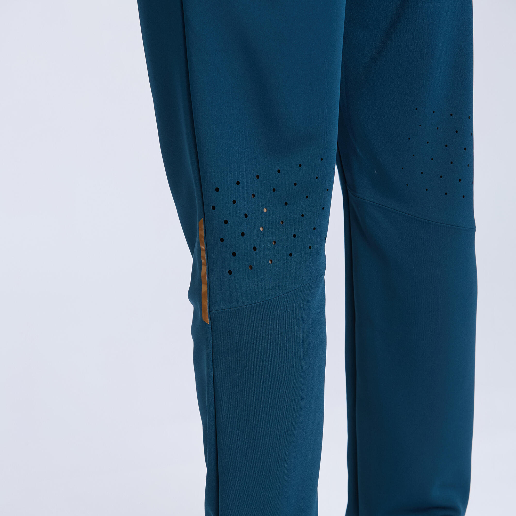 Men Cricket Trousers CTS 900 - Blue