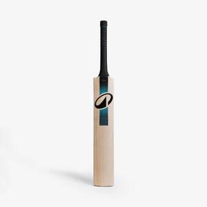 English Willow Cricket Bat EW 900 Adult G3