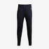 ABRASION RESISTANT CRICKET TROUSER TAPER FIT BLACK CTP 900