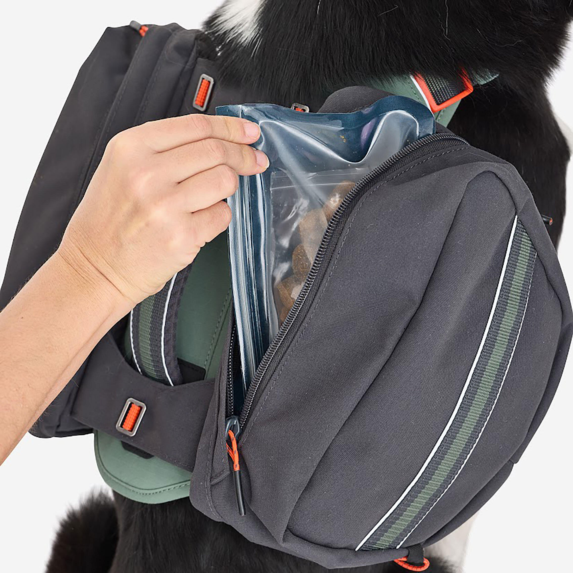 Harnais de randonnée pour chien - CAPERLAN