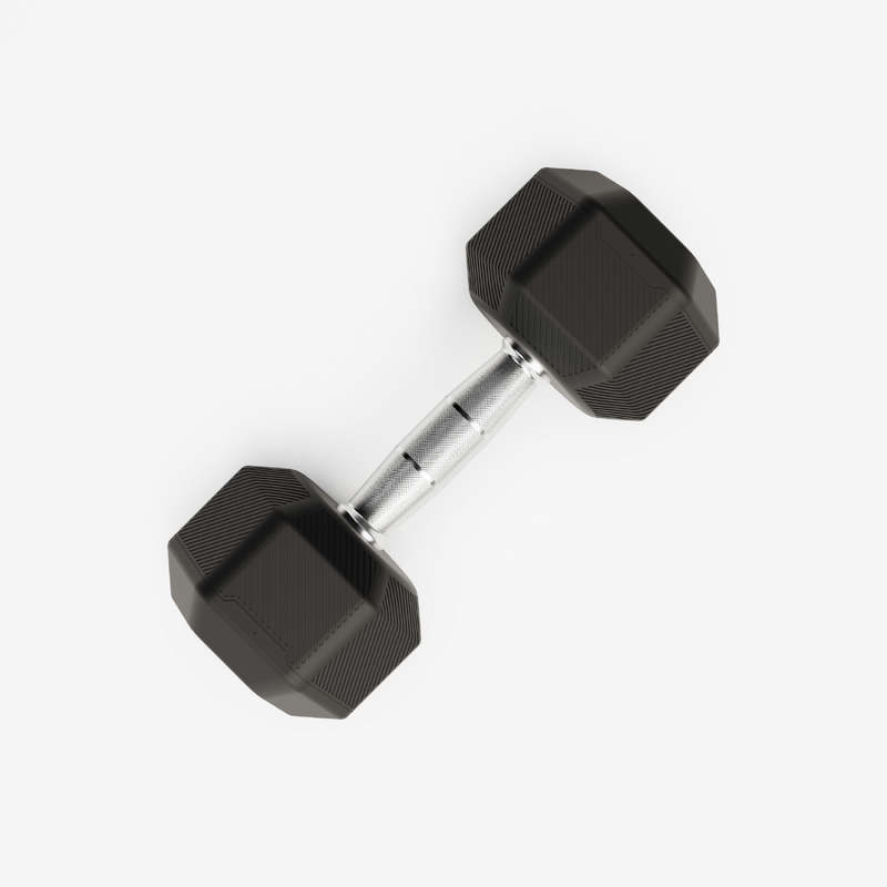 Support à Haltères Gold's Gym Noir - Rangement Poids Pour La Maison, Occasion