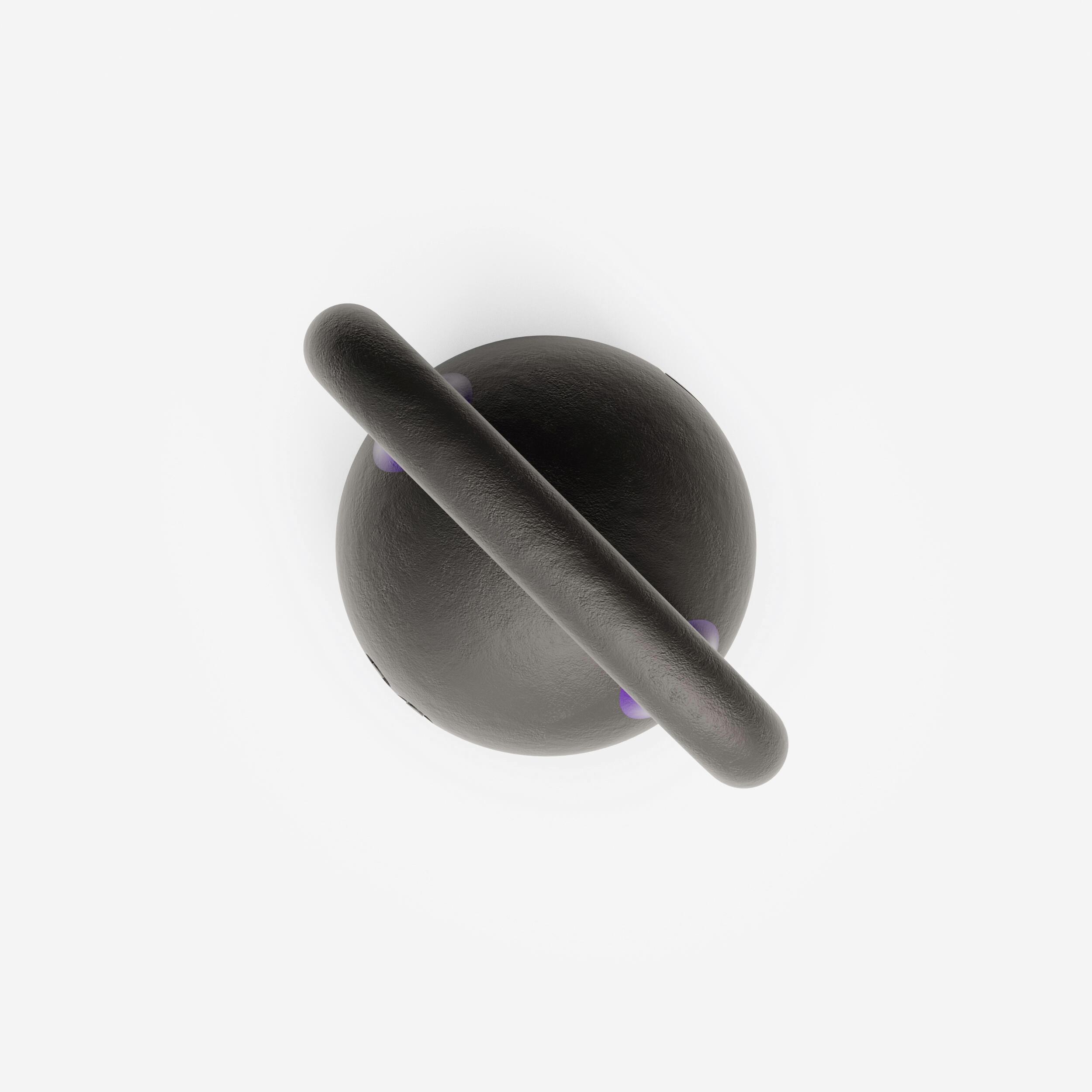 Functional Fitness and Weight Training Kettlebell, 20 kg (44.1 lb), Pro - CORENGTH