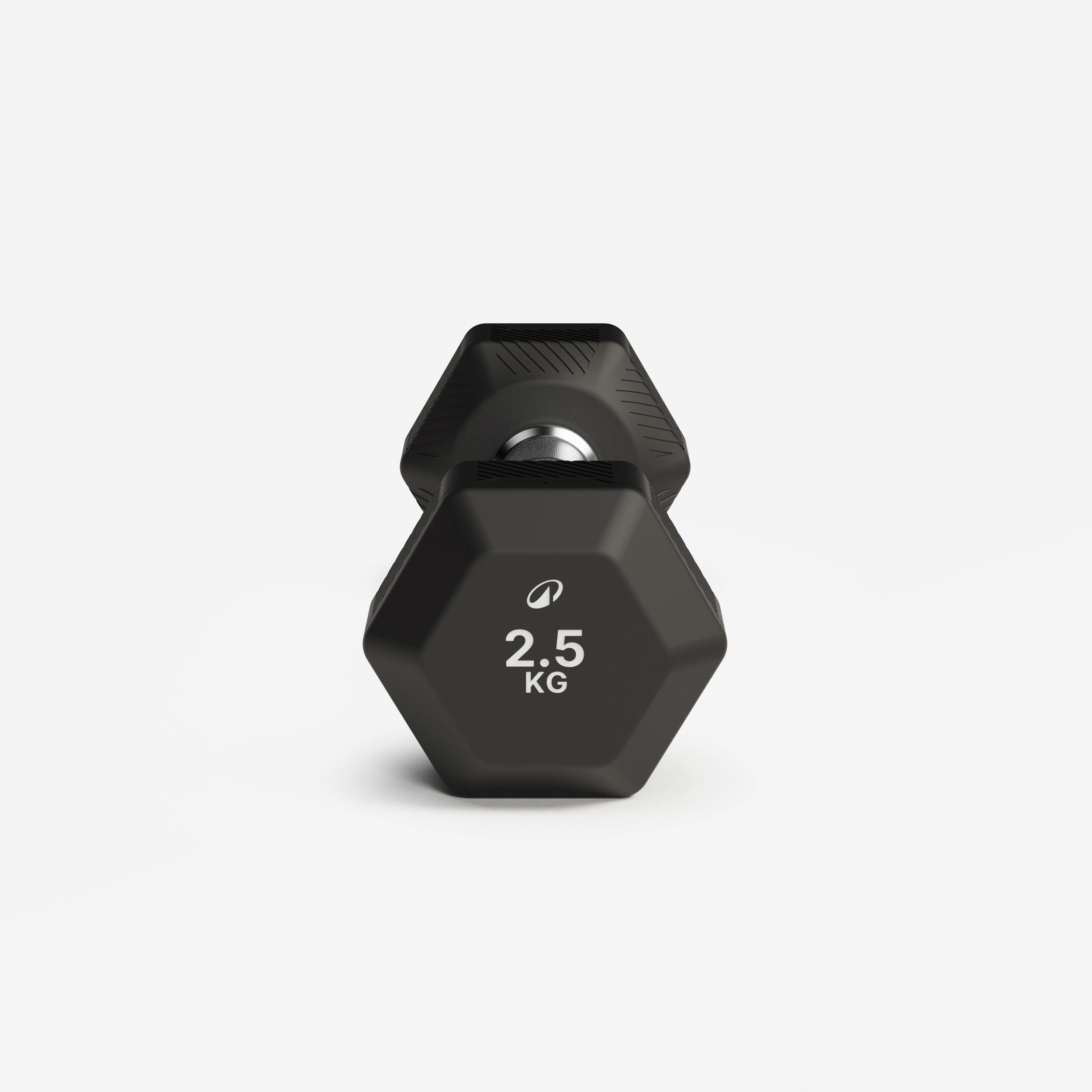 Haltère hexagonal pour entraînement croisé et musculation 2,5 kg 4/5
