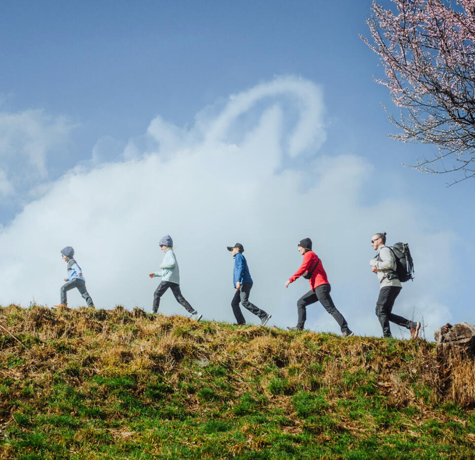 een damilie van 5 die wandelen met een bewolkte achtergrond