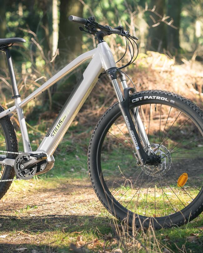 Graues Mountainbike steht im Wald