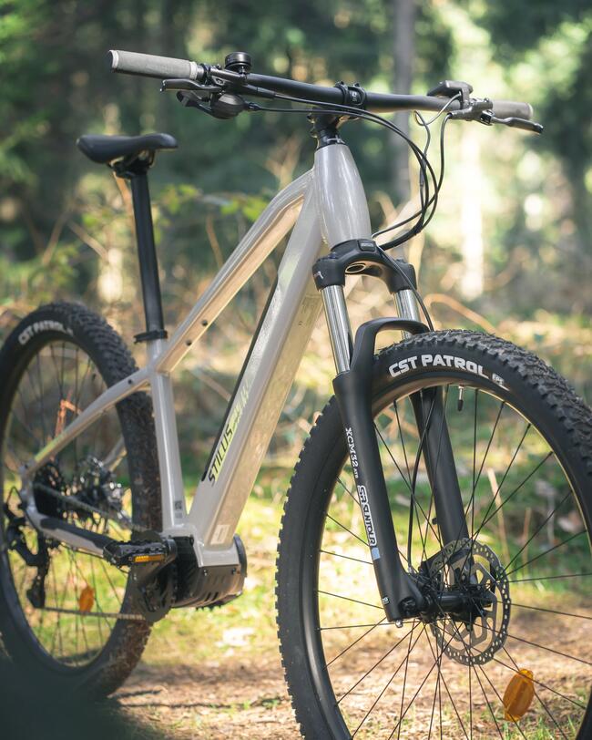 Graues Mountainbike mit schwarzem Lenker und Laufrädern; im Wald stehend