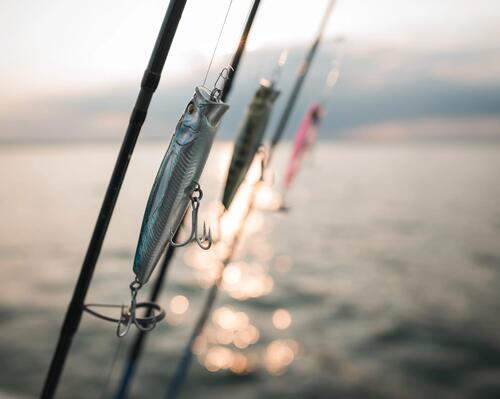 ensemble de peche en mer