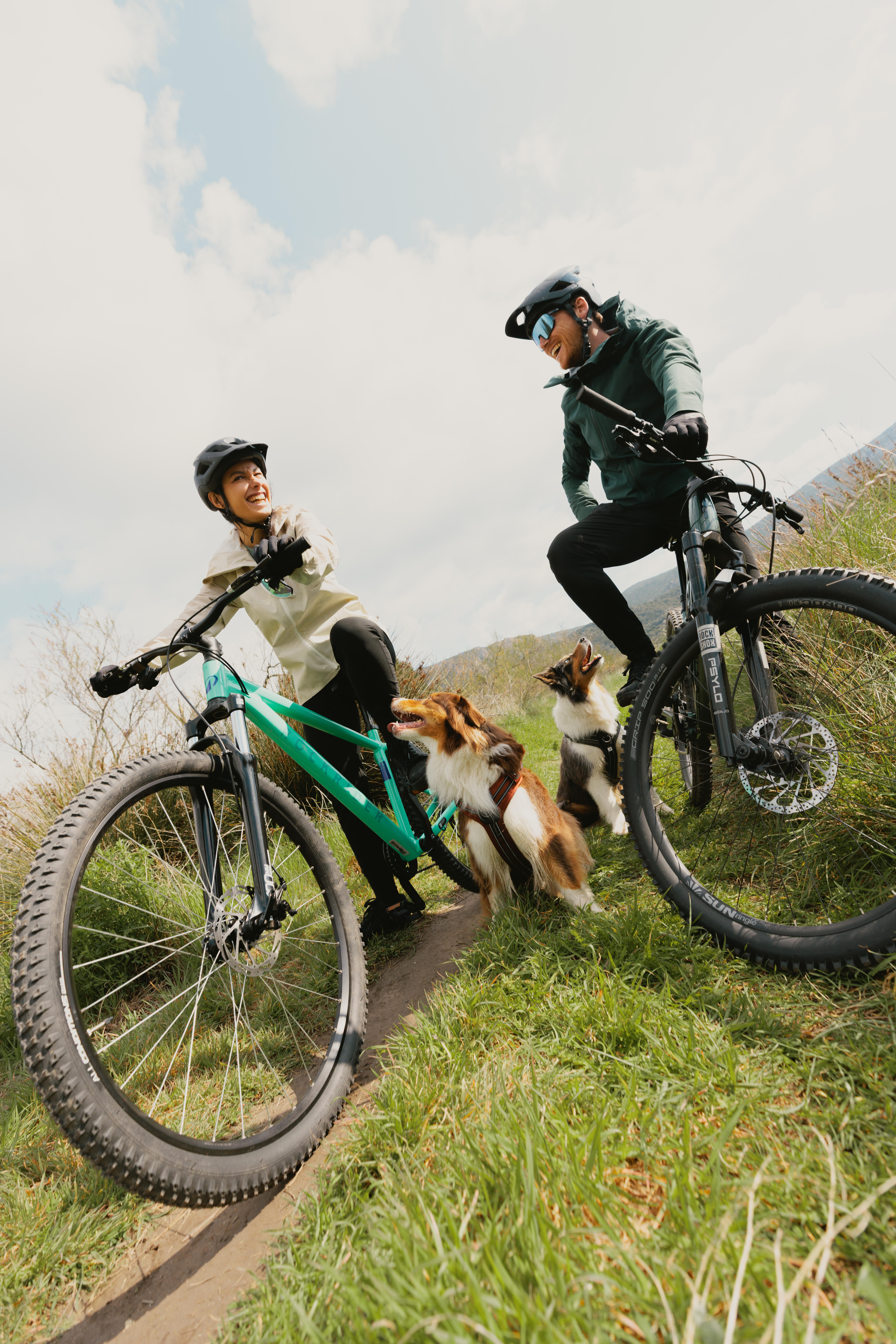 Touring Mountain Bike 29 in, Explore 100 - ROCKRIDER