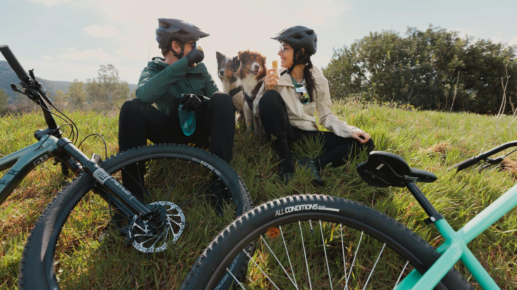 Stel in de natuur met mountainbikes en honden