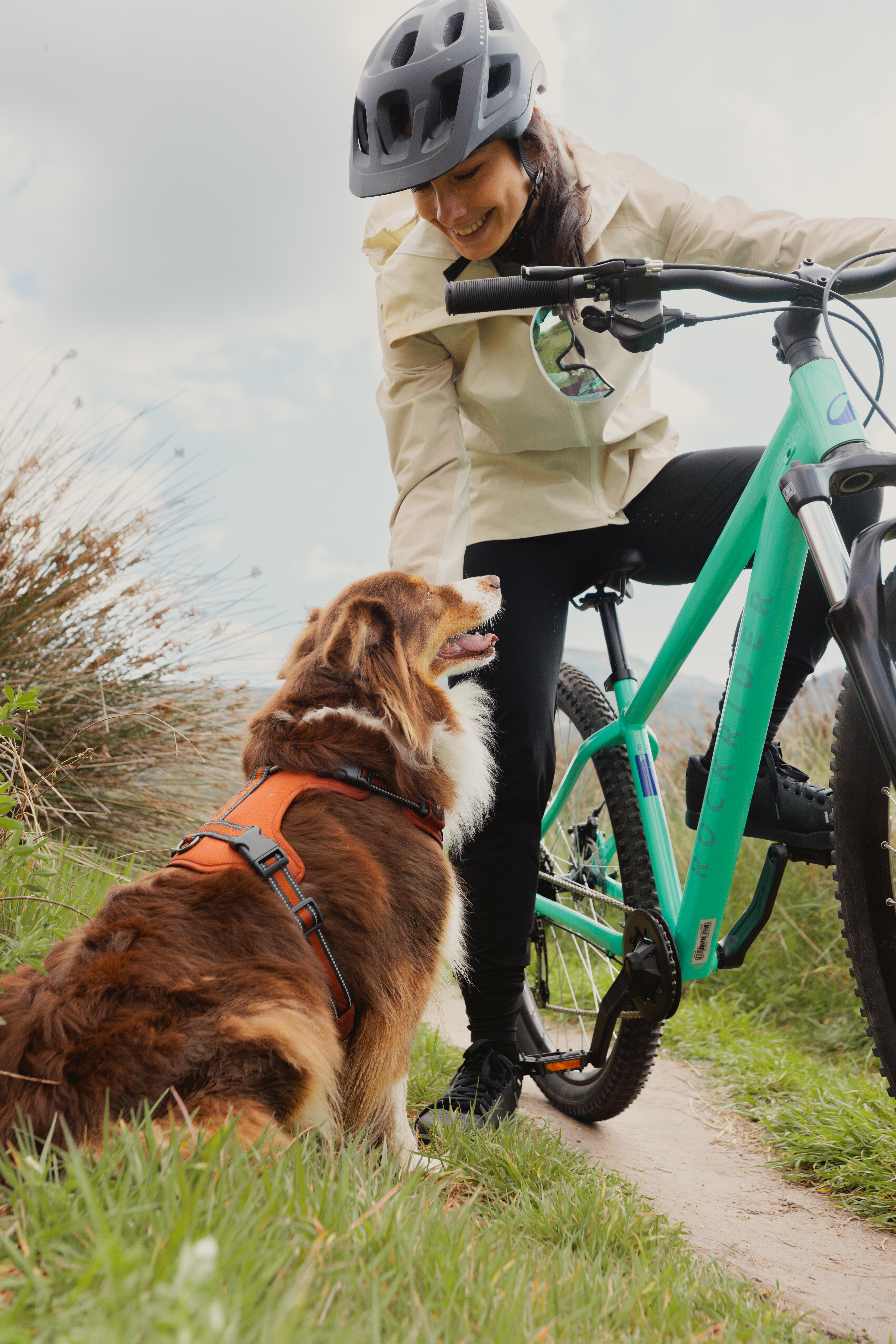 Touring Mountain Bike 29 in, Explore 100 - ROCKRIDER