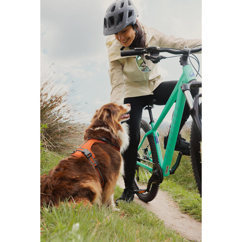 Vélo VTT randonnée 29" EXPL 100, Vert