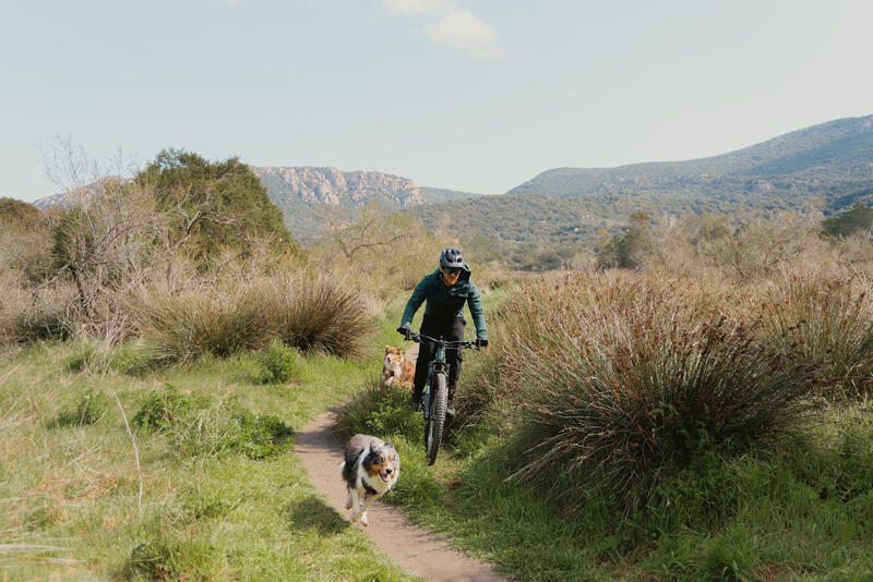 Bikejöring: mountainbiken samen met je hond