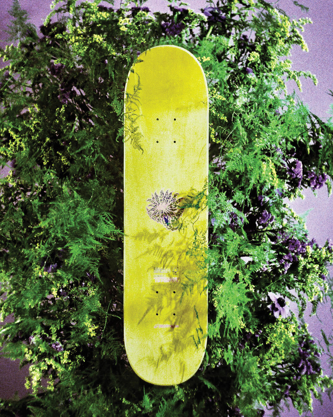 Skateboard
