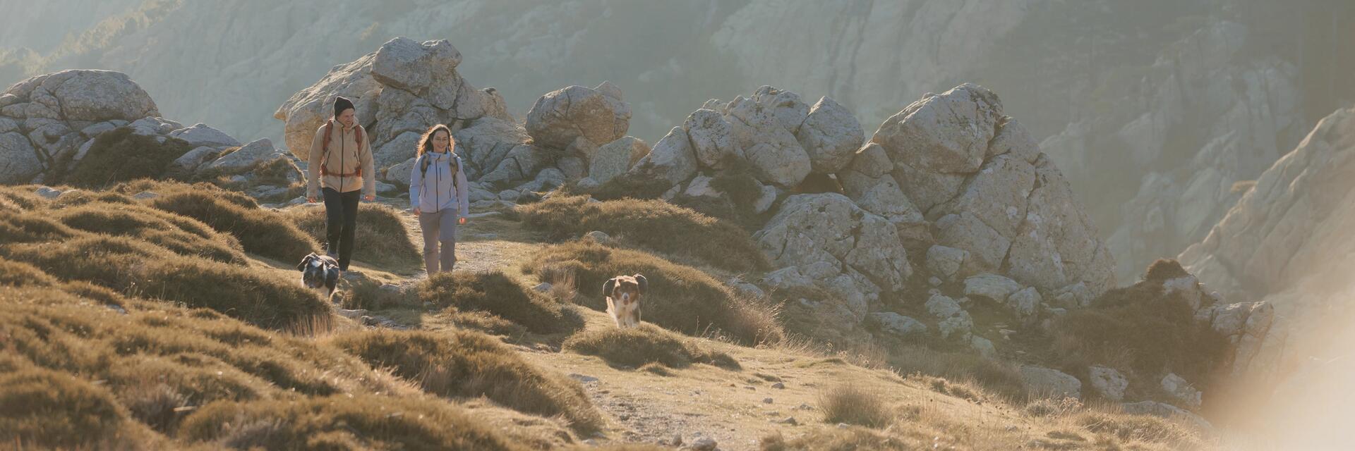 2 personen die wandelen in de bergen met 2 honden