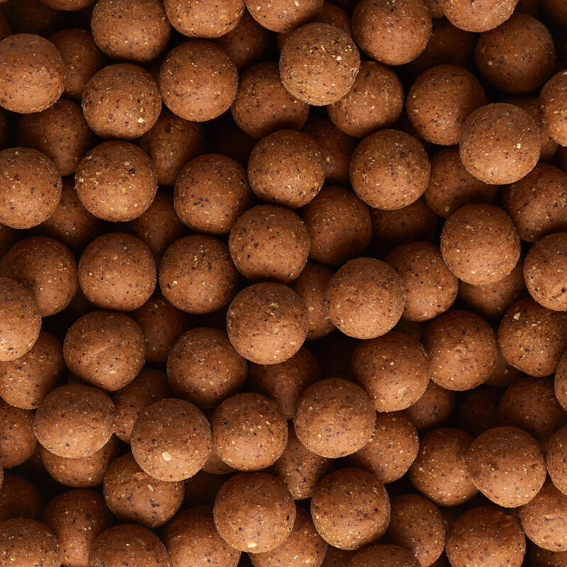 Boilies Pescuit la Crap Wellmix 20mm 10kg Usturoi-Ficat