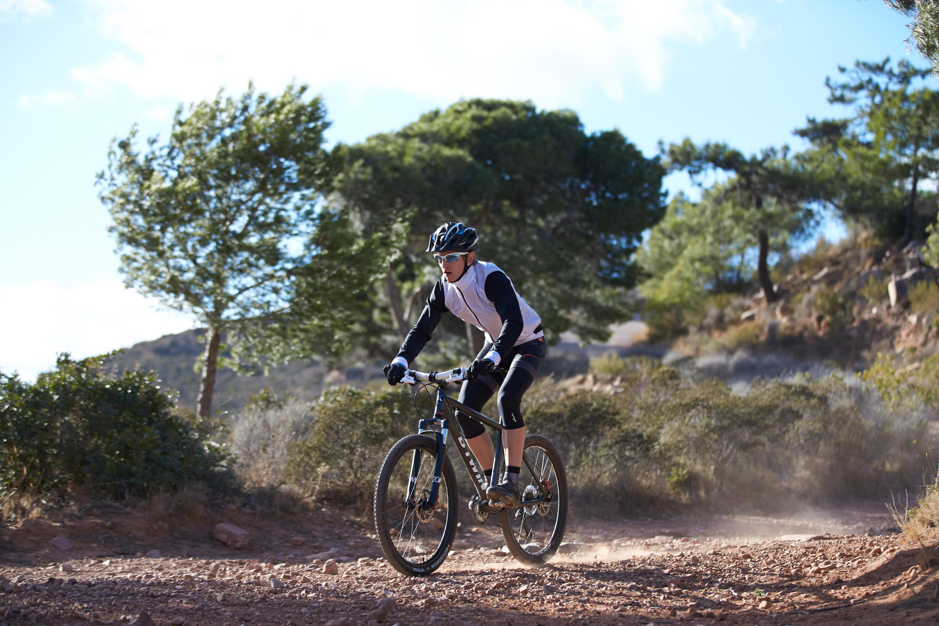 MTB Rockrider 520 10/19