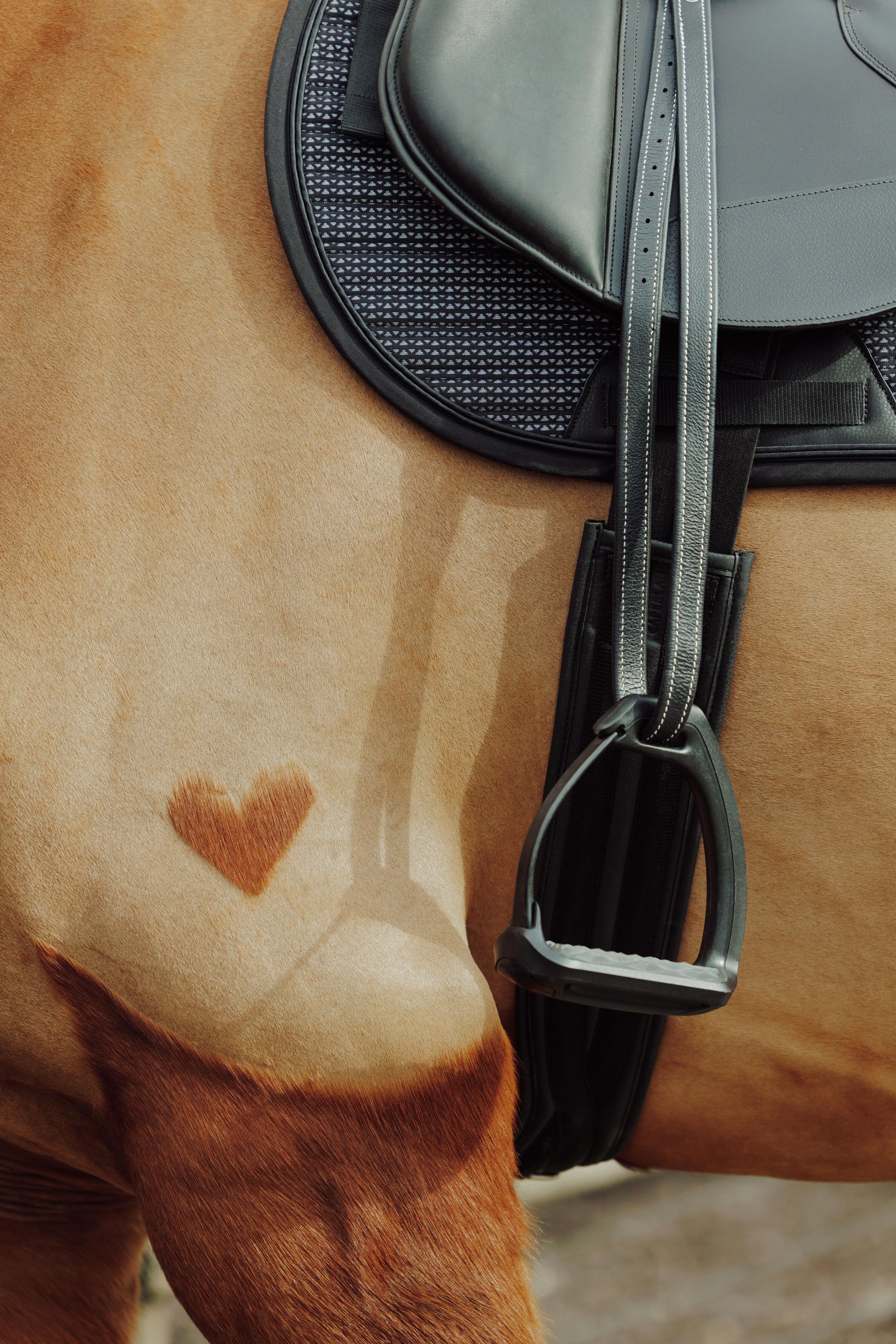Selle équitation cuir 17,5" cheval - 500 noire 8/8